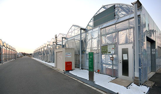 千葉大学柏の葉キャンパス内に並ぶ、太陽光型の実証実験施設