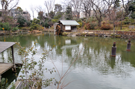 鍋島松濤公園の池