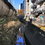 第4回里川文化塾 『春の小川』の流れをめぐるフィールドワーク
