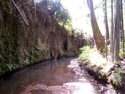 阿蘇の溶岩流の地質を掘ってつくられた日本最古の用水路、裂田の溝