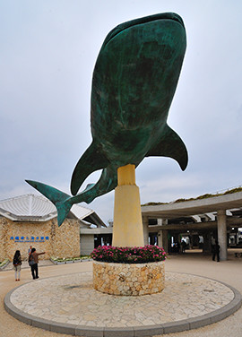 入り口付近には、大人気のジンベエザメの像がお出迎え。
