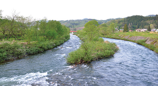黒沢峠の帰り道に通った横川は水量豊富で清らかな流れだった