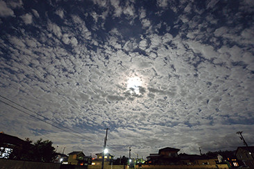 月明かりに照らされる高積雲。「夜は太陽や地表の光や熱を受けないので、昼とは少し異なる表情を見せます」(村井さん)