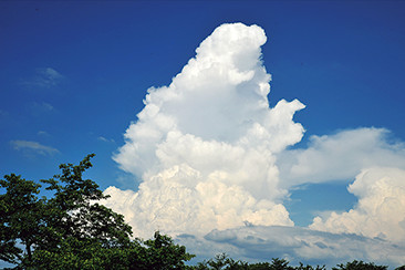 こっちに向かってくるゴジラのように見える積雲