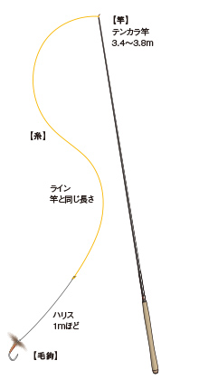 テンカラの標準的な仕掛け