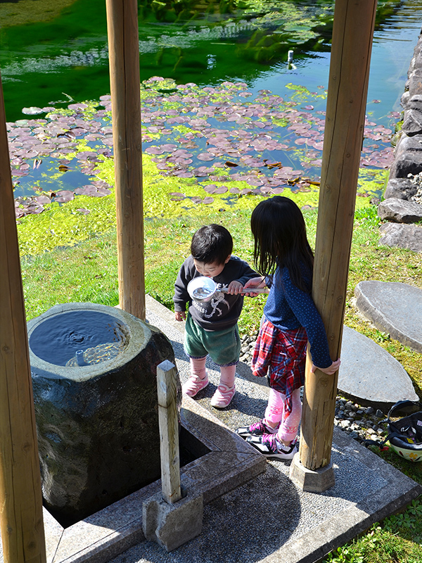 本願清水でお姉ちゃんからもらった水を口にする幼い男の子。おいしい湧き水を飲んだ記憶は生涯忘れないはずだ 