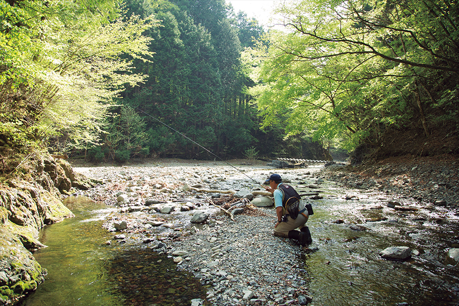 天然のイワナとヤマメが棲む小菅川（山梨県）の源流域で竿を振る石垣さん。このエリアは小菅村漁協が1人5匹までの「持ち帰り制限」を設定している