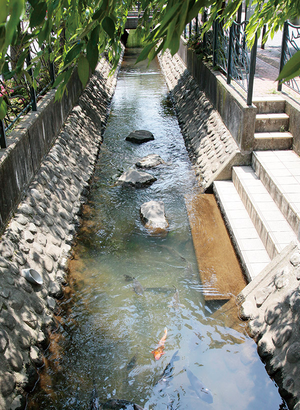 多摩川最古の農業用水「二ヶ領用水」。一時はどぶ川と化したが、市民と行政の取り組みによって再生された