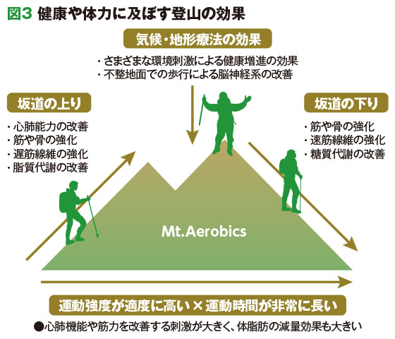 図3 健康や体力に及ぼす登山の効果