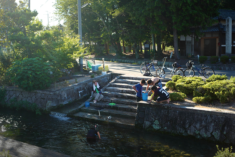 重要文化的景観に選定されている滋賀県高島市の針江集落