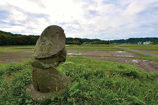 稲作の豊凶を見守る農神として信仰されている田の神像は、鹿児島県と宮崎県の一部にしか見られない。