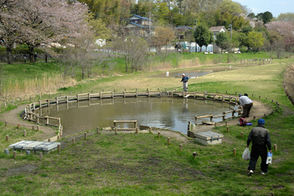 野川から取水している「丸池」。釣り人の姿も