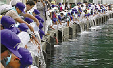 少年・少女で“種苗(お魚)”放流。 「ふるさと海づくり大会」のメインイベント。