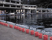 少年・少女で“種苗(お魚)”放流。 「ふるさと海づくり大会」のメインイベント。