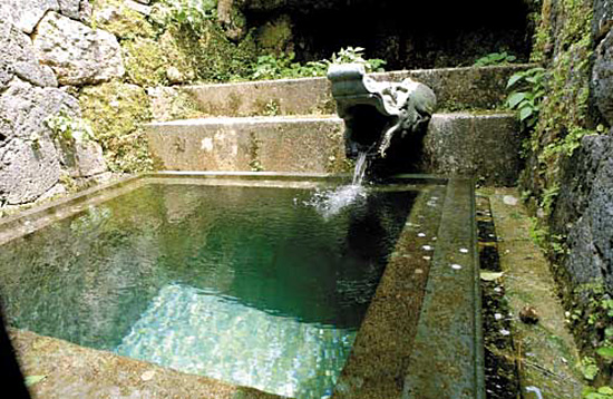 言葉は文化 新聞で伝える沖縄文化 沖縄方言 <うちなーぐち>で表現される天水の恵み