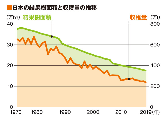 日本の結果樹面積と収穫量の推移