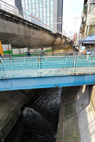 並木橋の下で、落合水再生センターの処理水が流れ込む