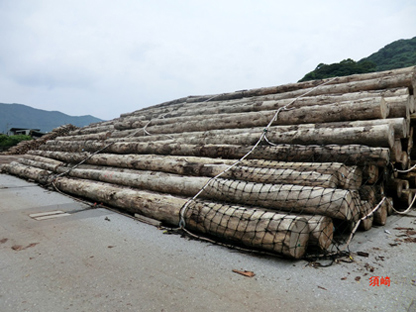 貯木場の材木の流出防止ネット