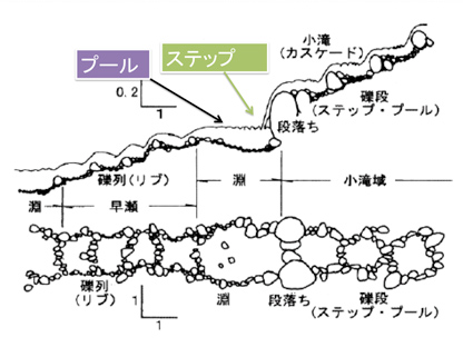 ステップ＆プール　図解