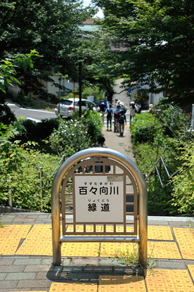 成増地域で唯一＜百々向＞の表記が残る緑道の看板