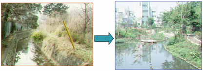 向島用水親水路の整備前と整備後