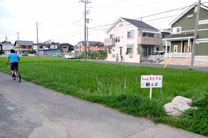 潤徳小の田んぼ