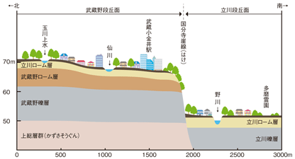 小金井市付近の地層断面図