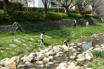 野川の水辺で遊ぶ子どもたち