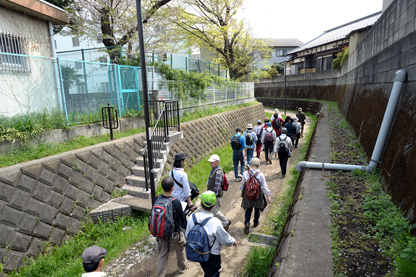 かつて野川だった旧野川河道を歩く