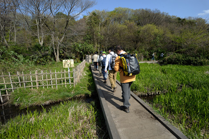 「湿生花園」の木道から「箕輪家のわさび田」へ