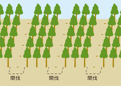 列状間伐