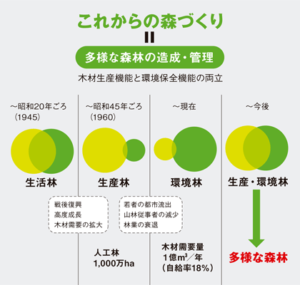 戦後の森林の推移と今後の方向性