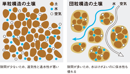 単粒構造と団粒構造の土壌の違い