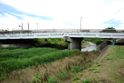 水無瀬橋から下流は南浅川が向きを変えて流れている
