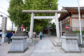 飛木稲荷神社とイチョウ