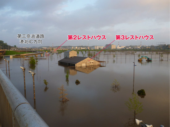 2013年4月7日の公園内の様子