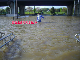 2013年4月7日の公園内の様子