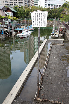 3年に一度の住吉神社の例大祭に用いる大幟の抱木と柱が埋設されている