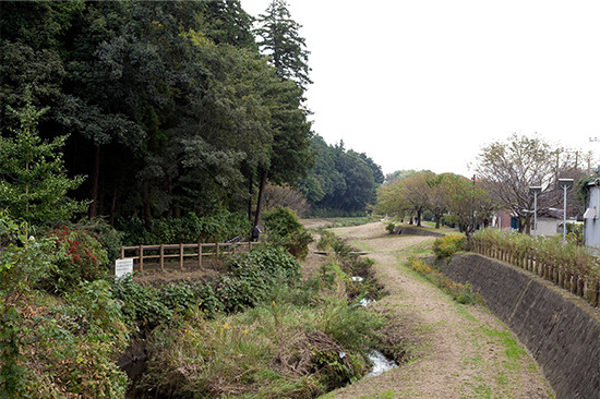 森と川が一体となった見事な景観の「東山の水辺」