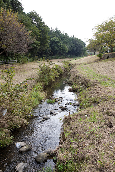 敷地の幅全体を使って緑で覆い、盛土の勾配も柔軟に考えて設計された「東山の水辺」