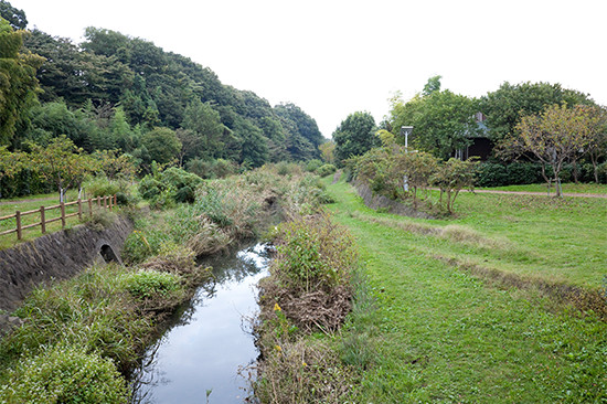 斜面林がせり出し、森と川の親和性が非常に高い「関ヶ原の水辺」