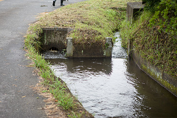 二手に分かれる部分。右は道路の北側を、左は道路の南側の水田を潤す