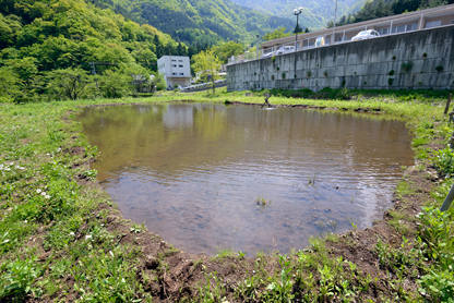 泥田んぼ