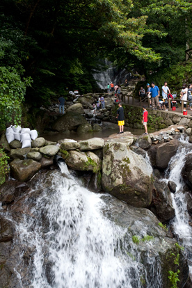 夏は涼を求める人で大人気の〈白糸の滝　ふれあいの里〉