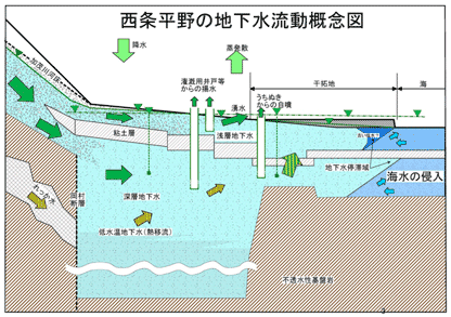 西条平野（加茂川流域）の地下水流動概念図