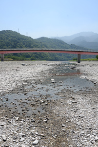 瀬切れとなった加茂川