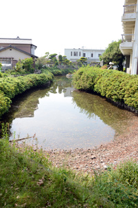 加茂川の伏流水が湧き出る「観音水」