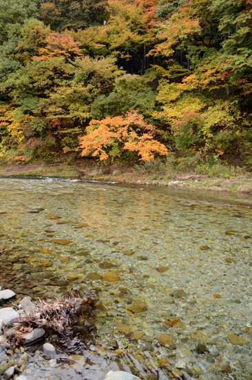 品質の高いウイスキーづくりを支える新川の清冽な水