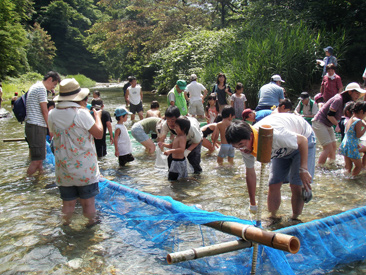 ニジマスつかみどりなど子どもが渓流に親しむきっかけをつくる「作並かっぱ祭り」