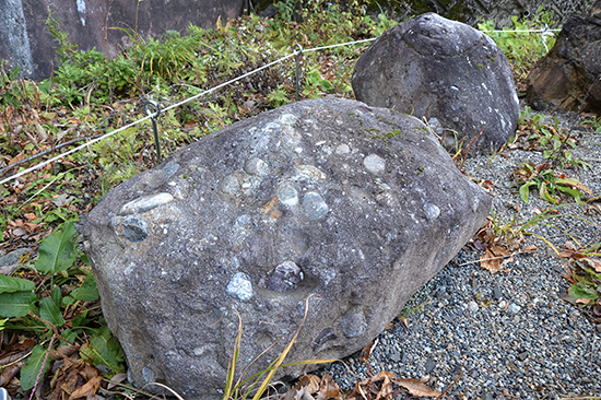 当時の河原の丸い石が浮き出た岩石